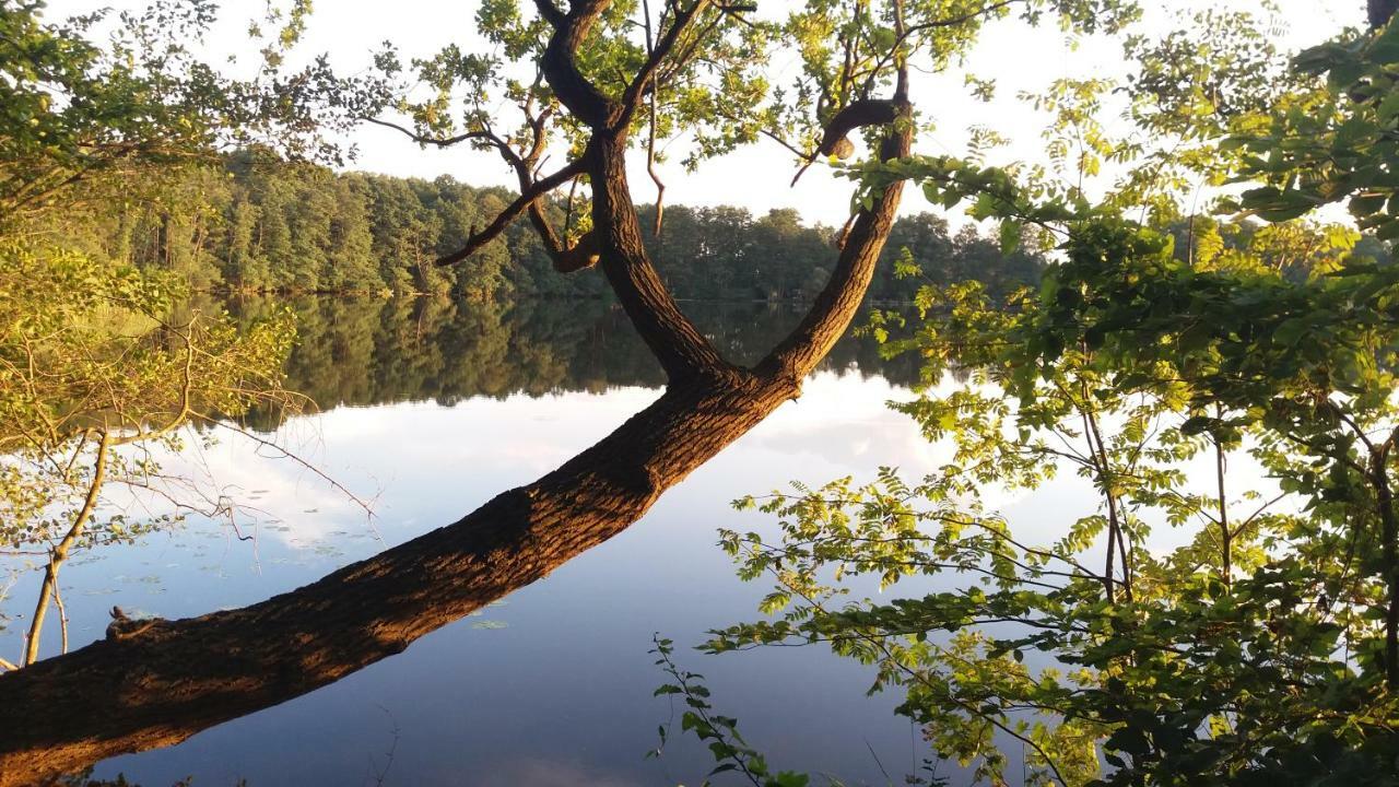 Sidowseetraum Himmelpfort Zewnętrze zdjęcie
